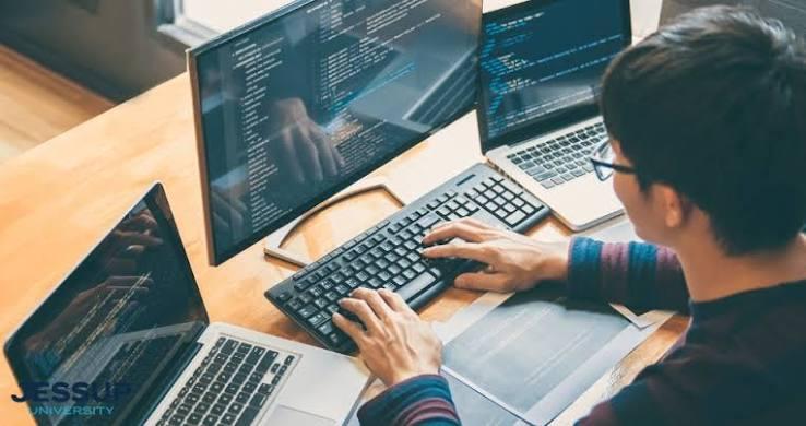 Lessons from My First Web Development Job
